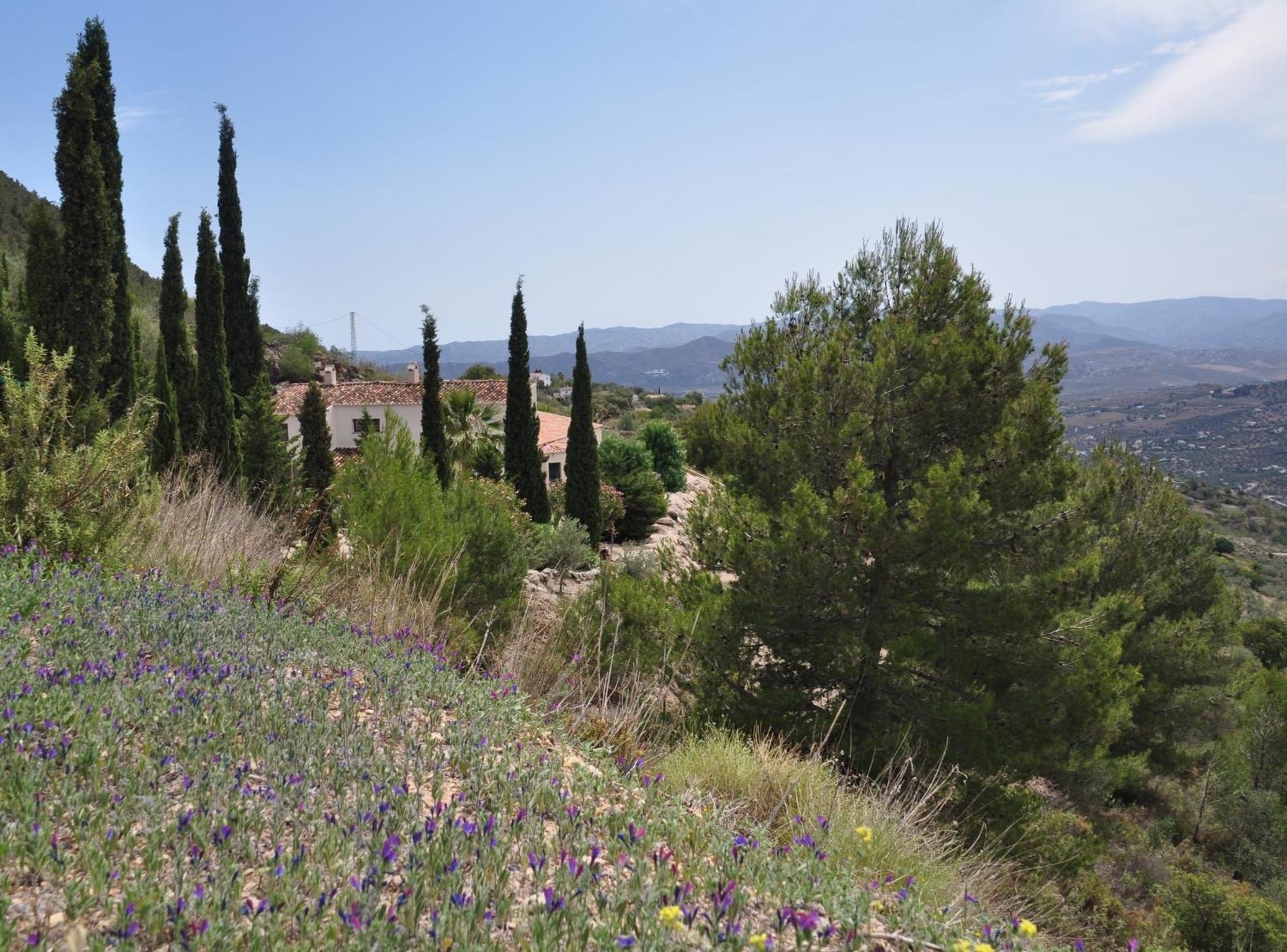 Boutique B&B El Refugio Alcaucín Dış mekan fotoğraf